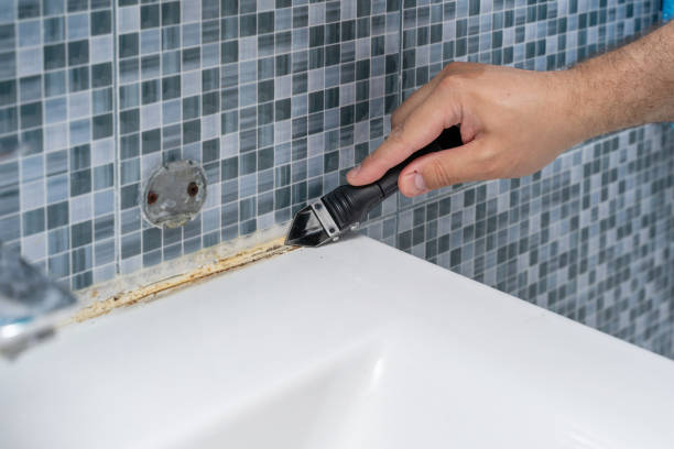 Best Residential Mold Remediation in Bonanza, GA